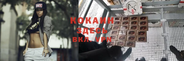 круглые Абаза